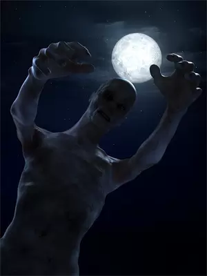 苦尽不甘来的诗句有哪些