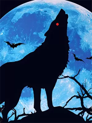 我身份曝光后前女友后悔了